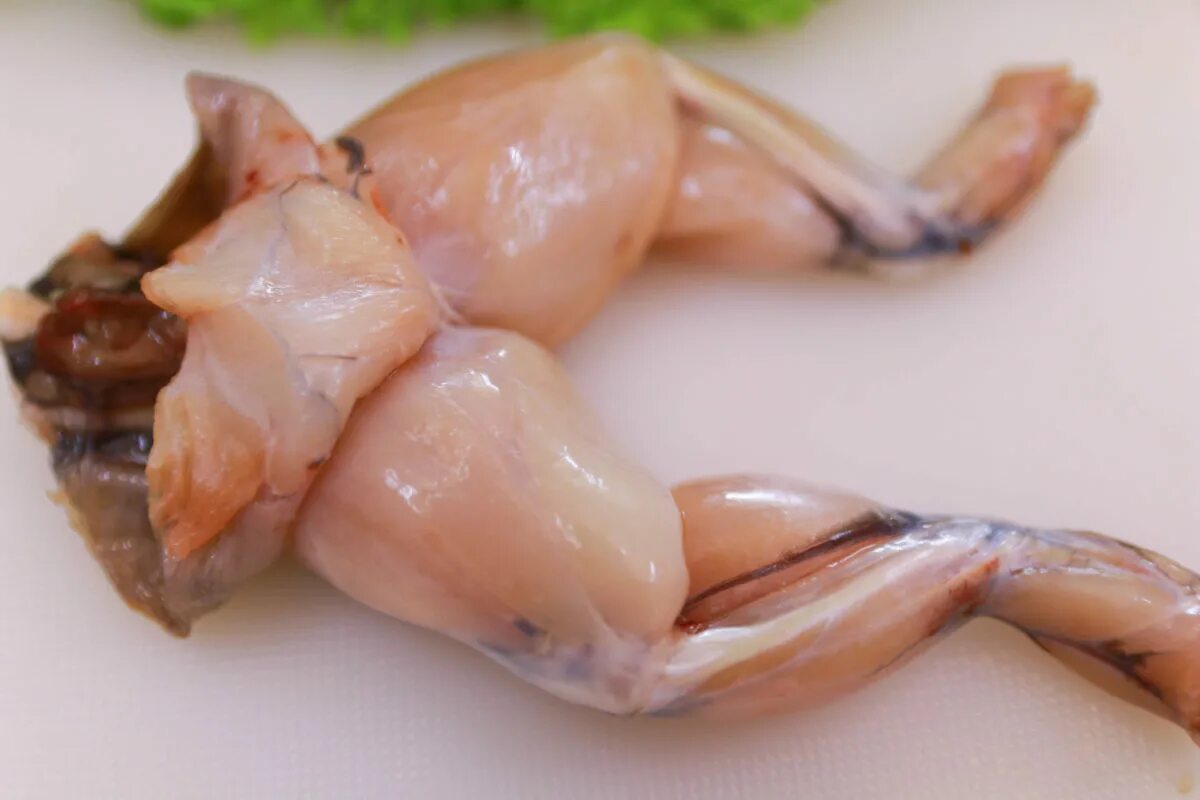 Frog legs. Лягушачьи ножки. Ноги лягушки.