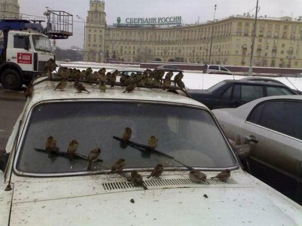 Сосед занял