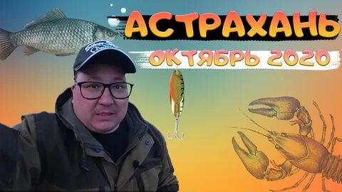 На что ловить в астрахани в августе