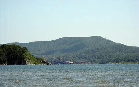 Береговой врангель