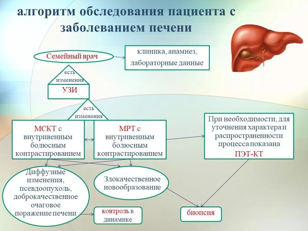 Печень больная диагноз. Алгоритм диагностики при заболеваниях печени. Заболевания печени диагнозы. Методы исследования больных с заболеваниями печени. Клиника заболеваний печени.