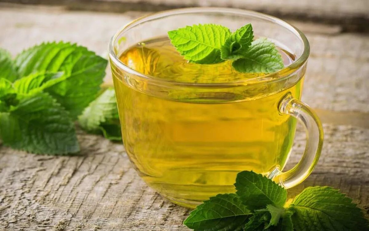 коктейль с мятой. мята в коктейле сверху. сок с мятой. мята японская мохито минц. зеленый сок.