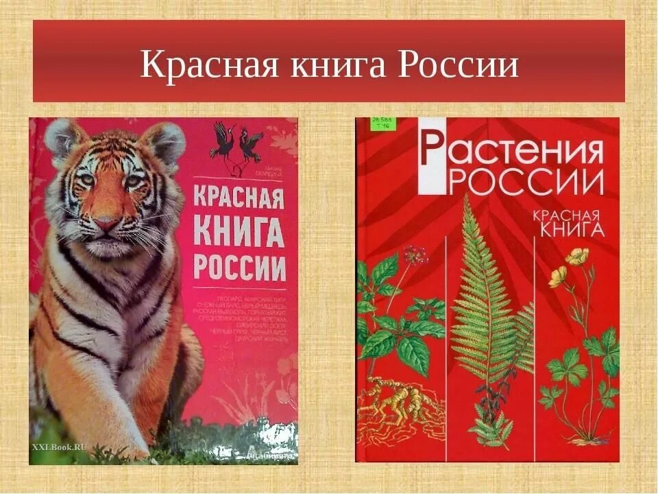 Красная книга России. Обложка красной книги России. Красная книга животных и растений. Обложка красной книги РО. Организм красной книги