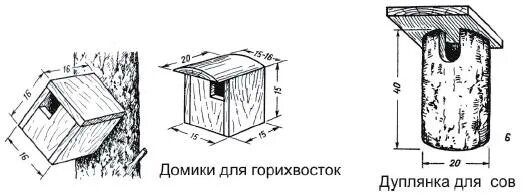 Трясогузочник своими руками чертежи и размеры Домик для трясогузки Наука и жизнь