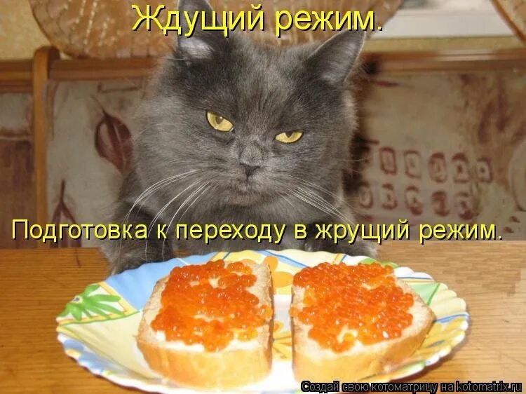 Можно ли котлету на ночь