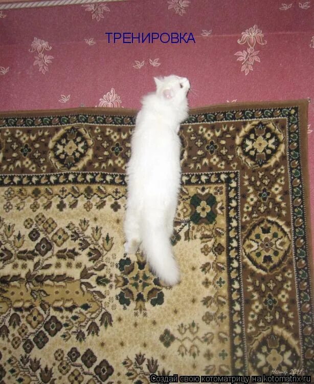 славик погосов сердце хулигана. хулиганы приложение. картинка хулиган и хулиганка. ганвест. ганвест хулиган текст.