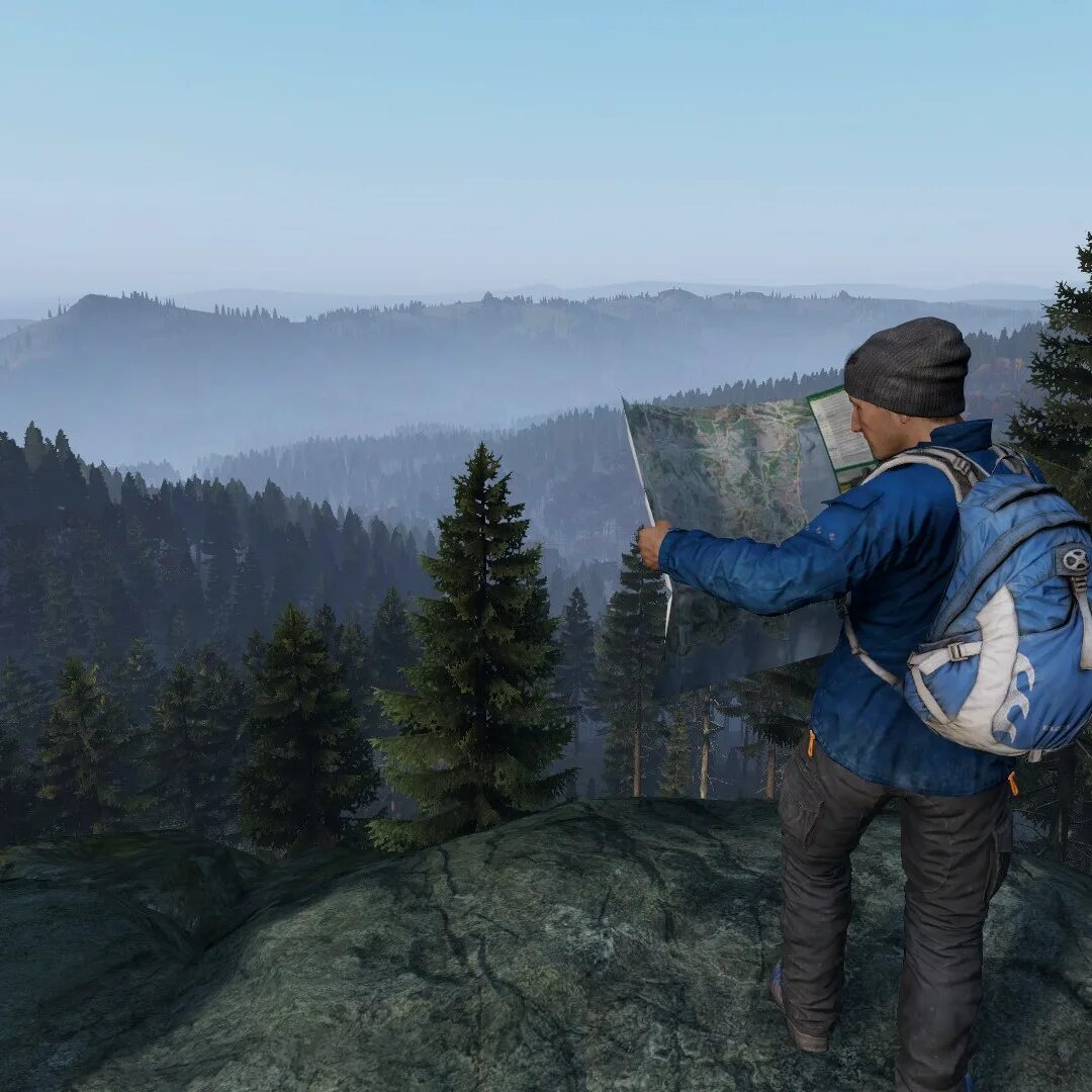 DAYZ. DAYZ на пс3. Дейз игра на ПК. Dayz ps4