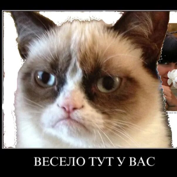 Вы также как и я здесь бывали