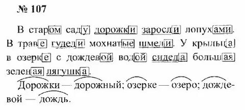 Русский язык 8 класс учебник упражнение 107