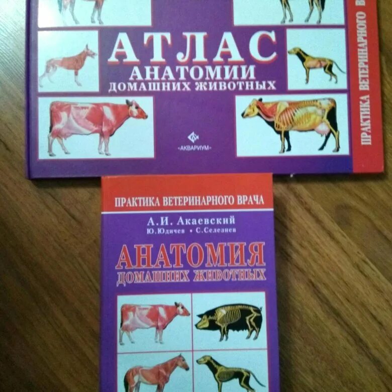 Анатомия крупного рогатого скота атлас. Анатомия домашних животных юдичев. Анатомический атлас животных. Атлас анатомии мелких домашних животных. Анатомия животных книга акаевский.