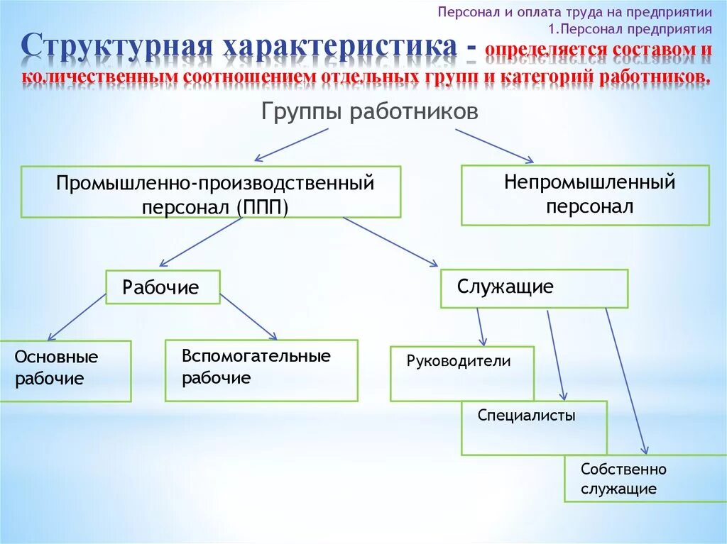 Предприятие первой группы. Состав промышленно производственного персонала организации. Классификация персонала организации. Характеристика персонала организации. Характеристика производственного персонала предприятия.