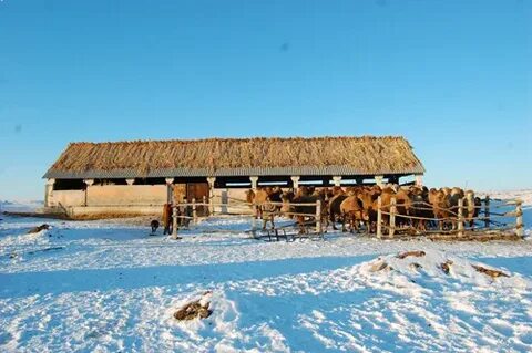 Моншадағы ұлы мен анасының порносы