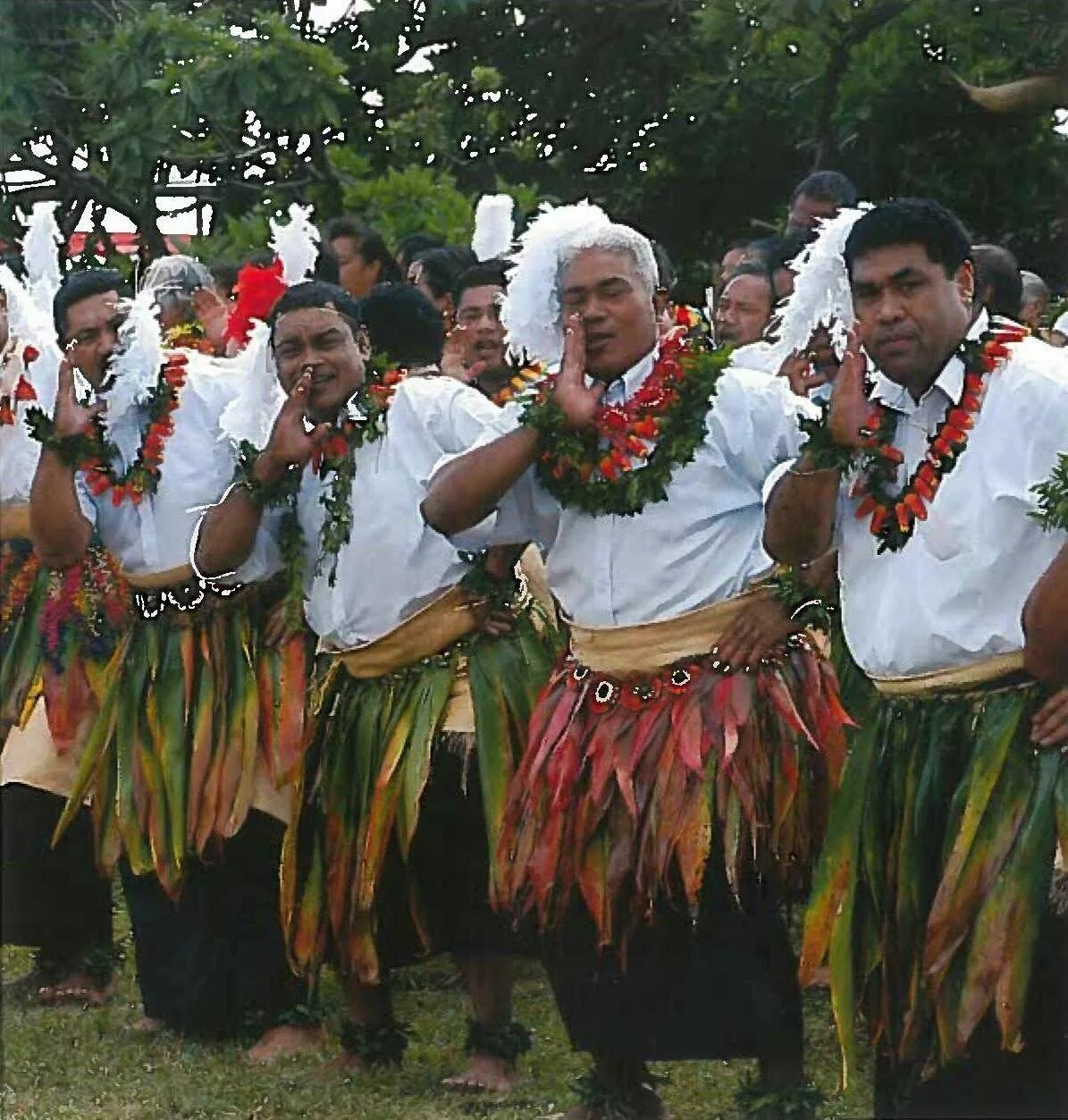 Тонга жители. Тонго тонго тонго. Королевство тонга. Тонга костюм. Остров тонга жители.
