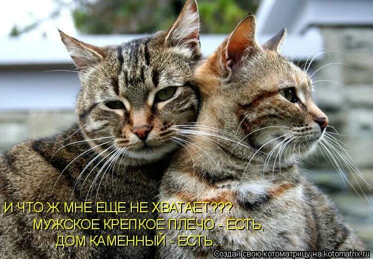 Неплохо когда есть