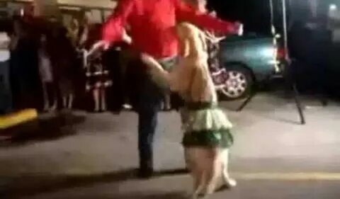 Собака танцует под песню