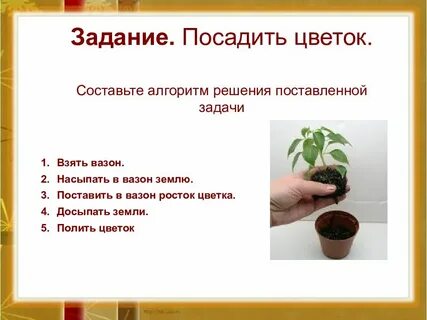 Изменения предложения комнатных растений