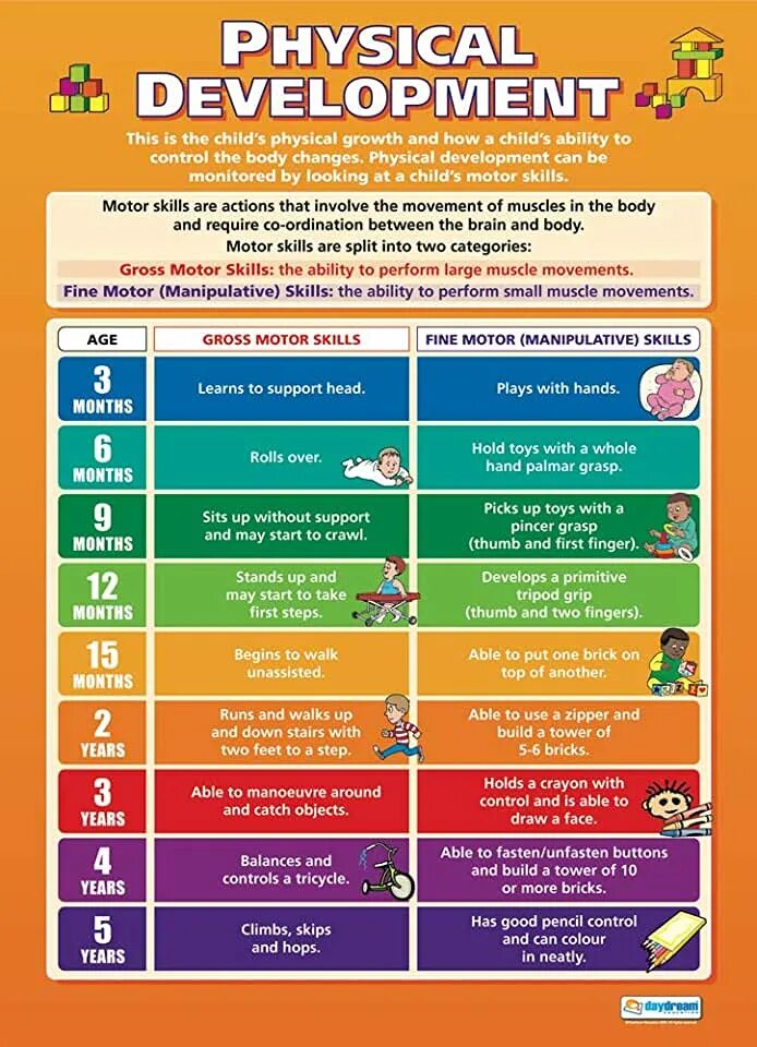 Physical development is. Physical development. early childhood stages. child development stages. physical development of children of the first year of life..