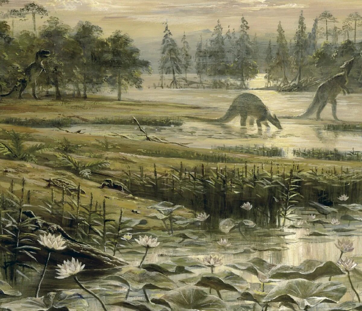 Триасовый период мезозойской эры. Триасовый период мезозойской эры животные. Мезозойская эра юрский период меловой период. Эра триаса и мелового периода. Эра триаса и мелового периода.