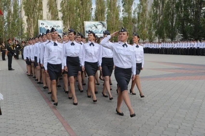 Воронежский полицейский вуз. Воронежский юи мвд. Рудов михаил алексеевич ви мвд. Ви мвд рф воронежский институт мвд. Правоохранительный колледж белгород.