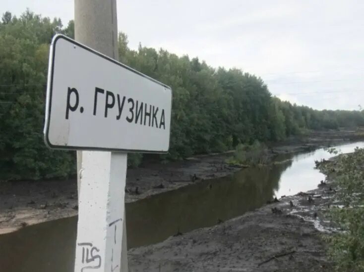 Река грузинка Васкелово. Разлив реки грузинки. Река грузинка Ленинградская область.