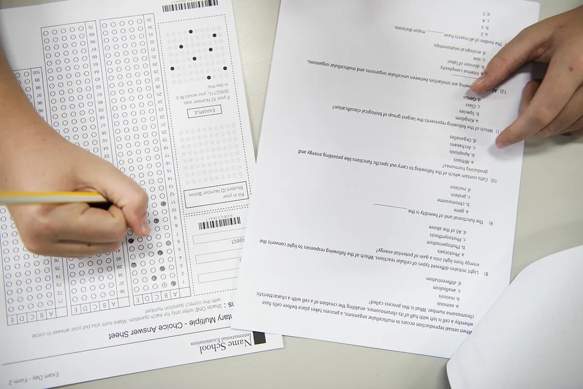 T m exam