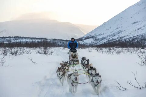 Катание мурманск