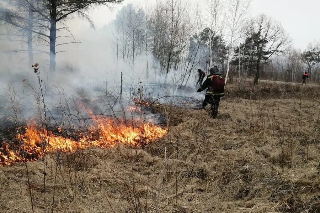 Пожар в лесу. Загорание сухой растительности. Пожароопасная обстановка в лесах. Лесные пожары в Амурской области.