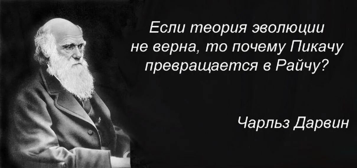 Цитата теория