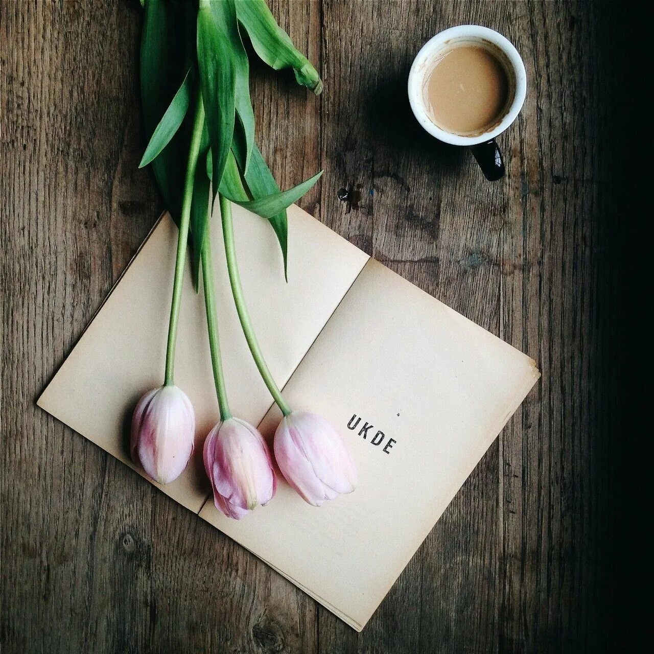 Тюльпаны стильные картинки. Кофе и цветы. Тюльпаны и кофе. Стильные тюльпаны. Весенние тюльпаны стильные.