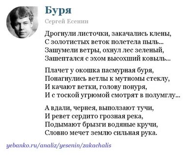 Туча есенина