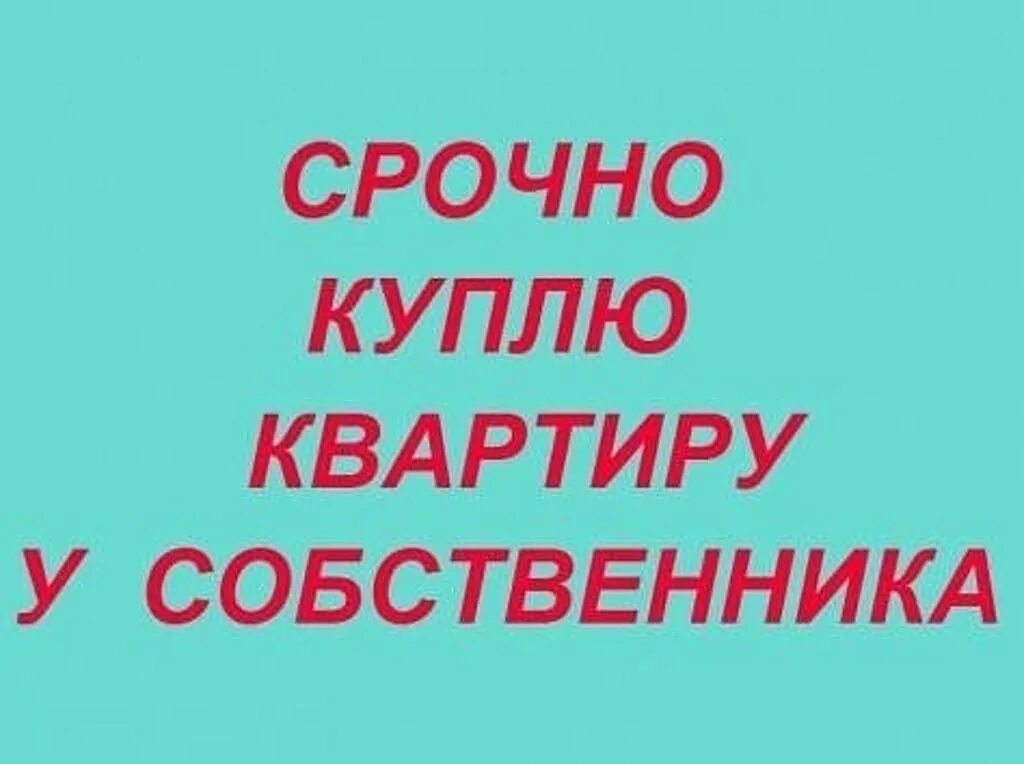 Картинка срочно куплю квартиру. Срочно куплю квартиру. Срочно куплю картинка. Картинка срочно выкуплю квартиру. Срочно куплю квартиру объявление