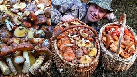Грибы любовь