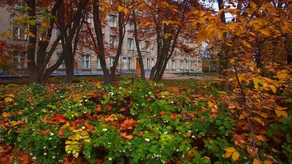 Авторское фото Набережная. Осень 2020. Говорит Муром - городское сообщество