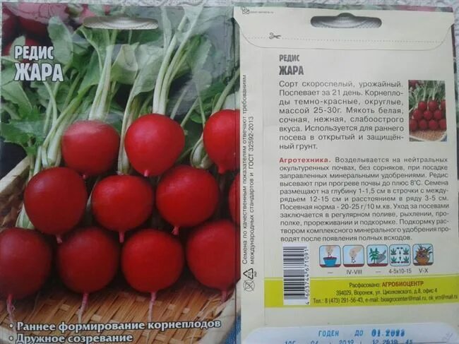 Редис сорт жара. Редис глобус. семена редис жара. редис глобус f1.