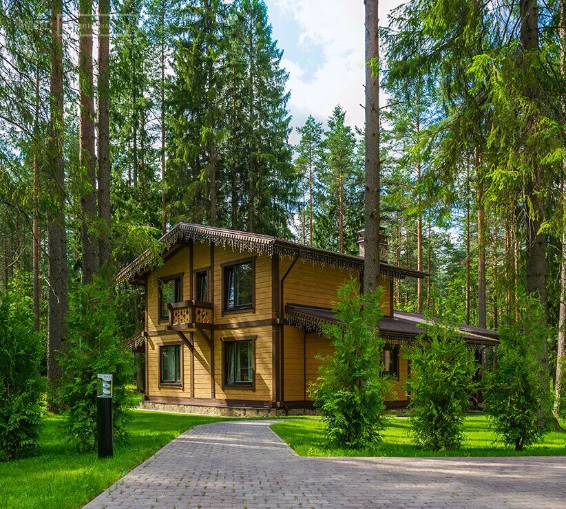 лесная сказка, коттеджный поселок лесная сказка. реклама таунхаусов. форест лесная деревня. современный поселок в лесу. икшинский лес.
