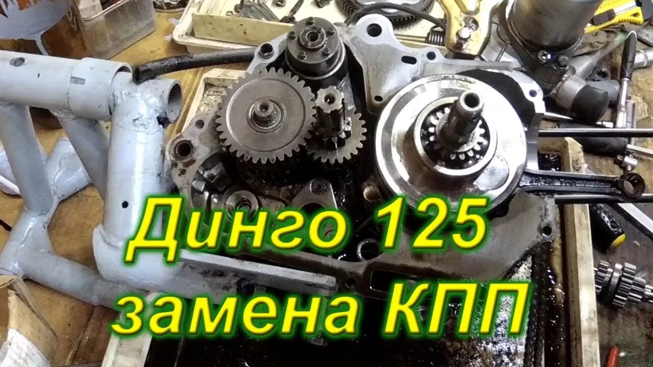 Ремонт двигатель 125. Коробка передач для Динго т125. Вал КПП снегохода Irbis Динго 125. Вал переключения передач снегохода Dingo t150. Снегоход Динго 125-обгонная муфта.