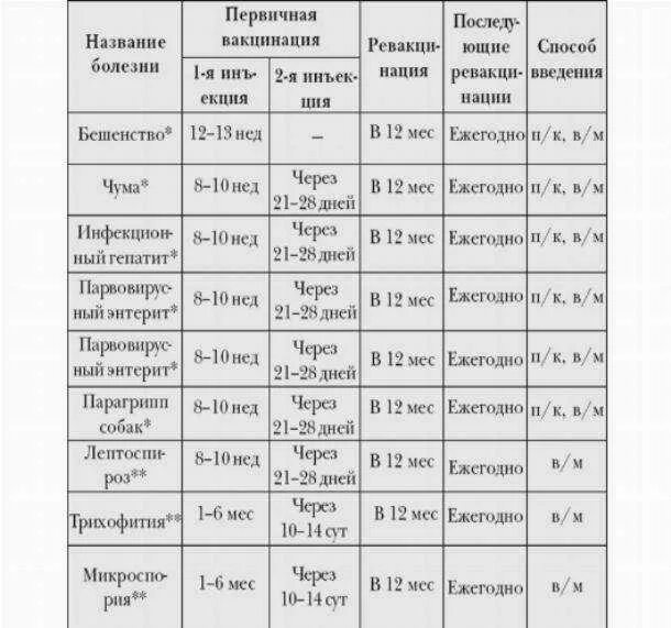 Прививка собаке после глистогонки через сколько. Вакцинация собак график прививок. Прививки собакам по возрасту таблица. График прививок для щенков спаниеля. Когда можно гулять с собакой после прививки.