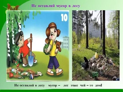 Нельзя мусорить в лесу