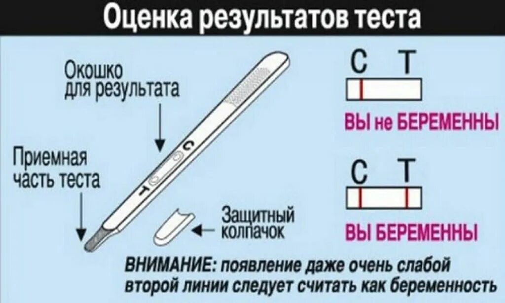 Как можно проверить тест. Как работает тест на беременность. Как роботай тест на беременность. Как работает тест на беременнас. Как делать тестна беременность.