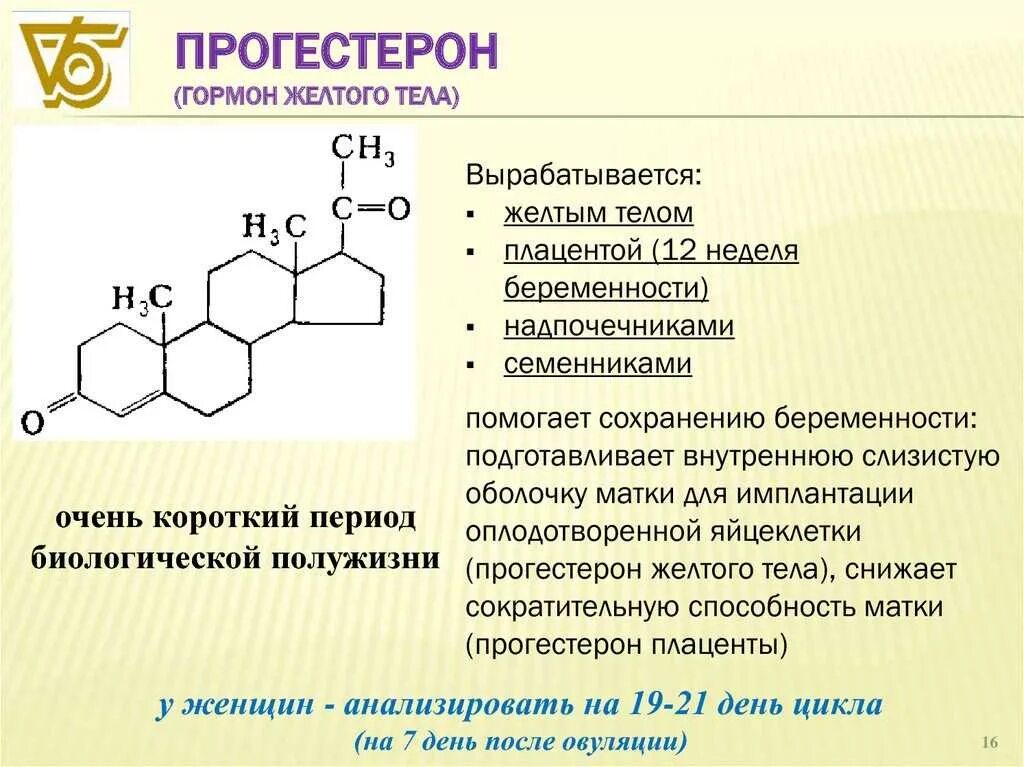 Как восполнить прогестерон. Прогестерон. прогестерон гормон. погостемон. гормон прогестерон вырабатывается.