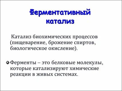 Катализ