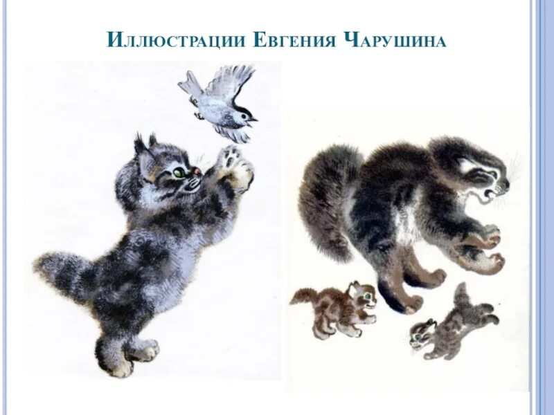 Урок изо 1 класс изображать можно пятном. Изображать можно пятном 1 класс. урок изо по чарушину. иллюстрации чарушина пятна.