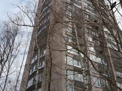 37 корпус 2