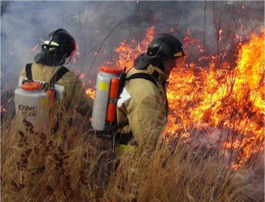 Тушение пожара в лесу. Лесные пожары МЧС. Пожар в лесу МЧС. Пожарные МЧС тушат лес. Пал 2 этап