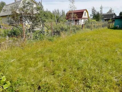 Погода ленинградская область посадников остров на неделю