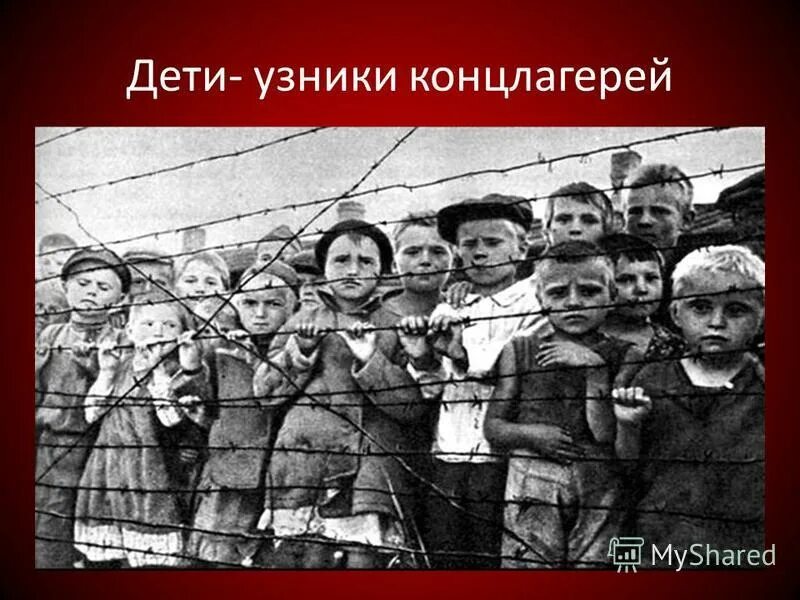 дети пленники. детские узники фашистских концлагерей. детский концлагерь бухенвальд. дети войны узники концлагерей. дети пленники.