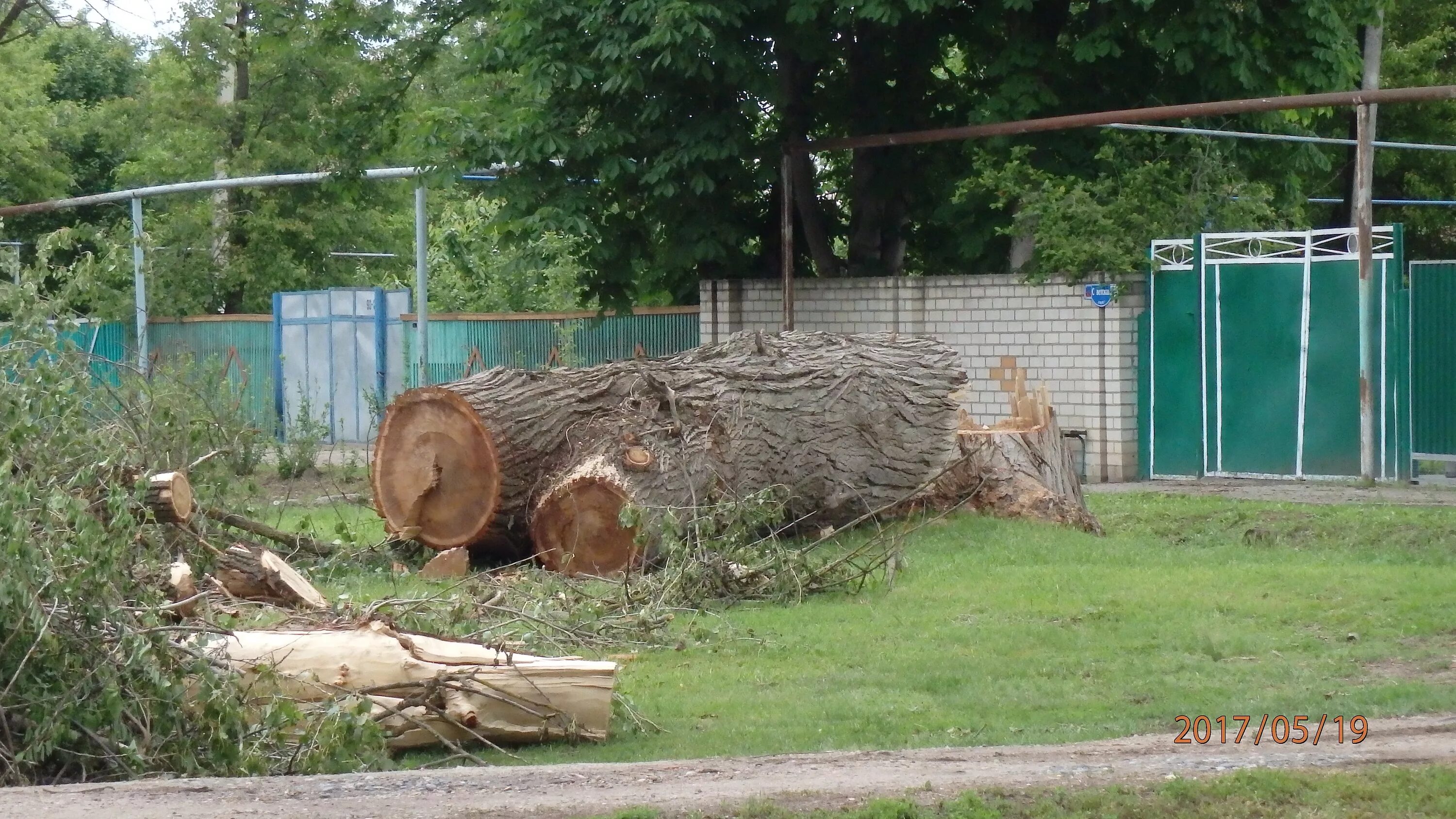 село зеленая роща степновский район. зеленая роща ставрополь. зеленая роща степновский. зеленая роща степновский район. степновский район село зелёная роща казачество.