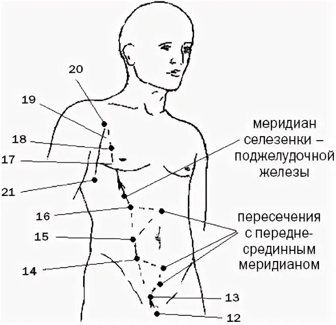 Меридиан селезенки и поджелудочной железы точки. Канал поджелудочной и селезенки. Меридиан поджелудочной железы точки. Rp1 точка на меридиане селезенки. Канал селезенки.