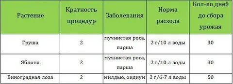 Расход 10 литров