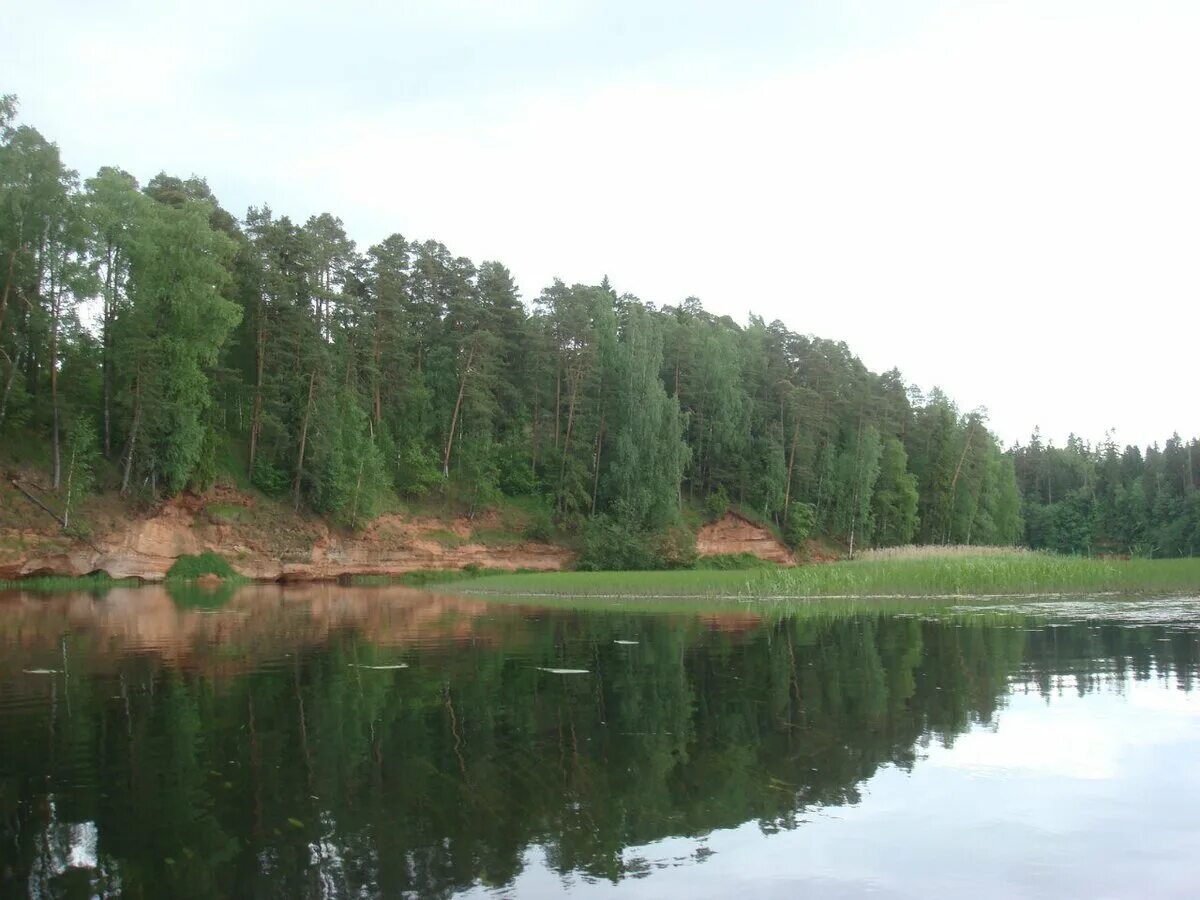 Глубина реки оредеж. Озеро хвойлово оредеж. река оредеж. река оредеж камень пушкина.